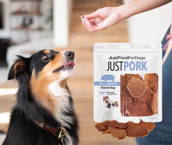 Single-Ingredient Treat: Just Pork!