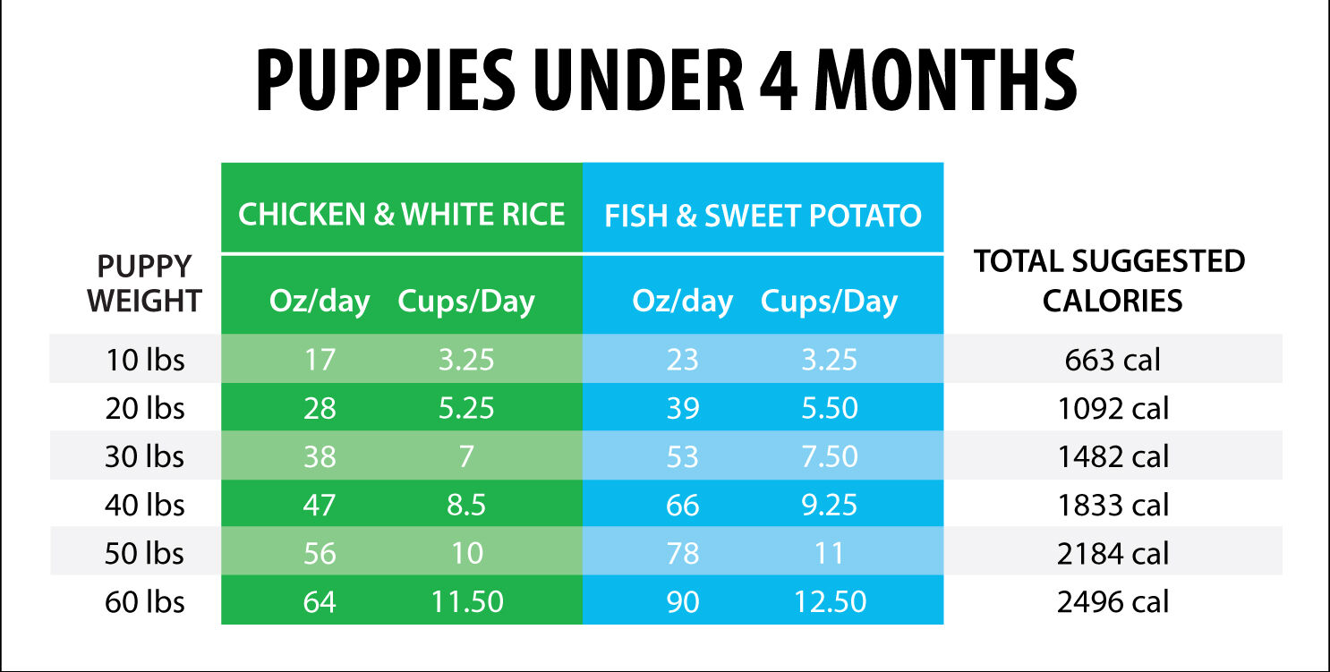 How much should a 7 week old puppy eat store
