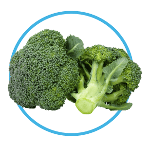 Broccoli snacks for dogs