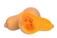 Butternut Squash