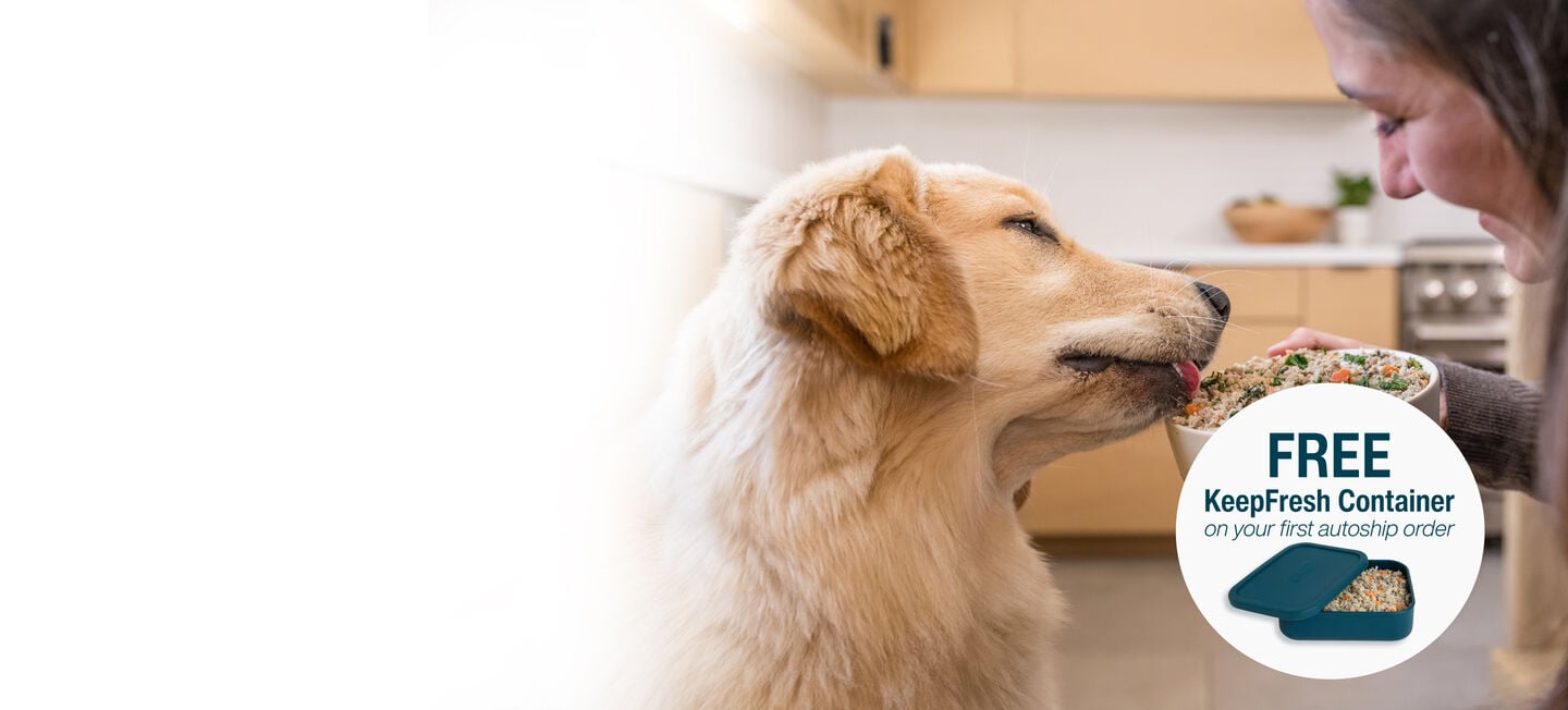 picture of a man holding a dog and bowl of food