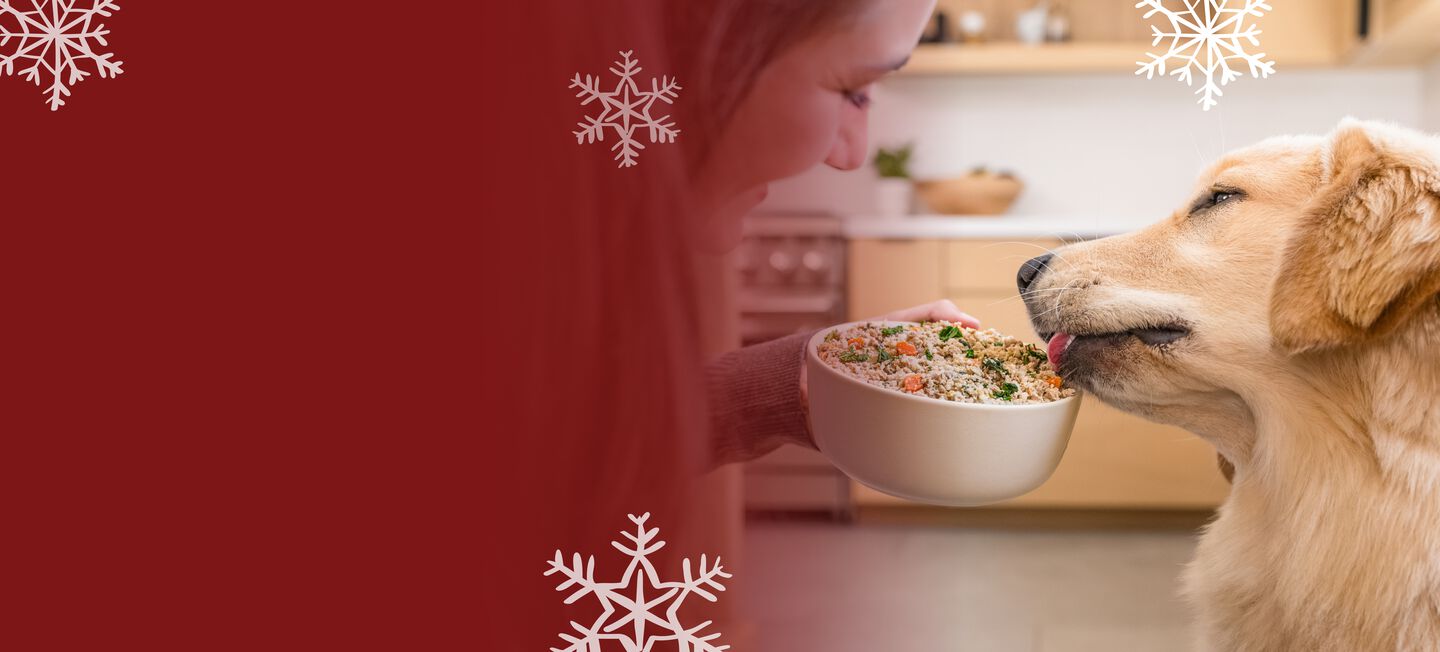 picture of a dog enjoying a bowl of fresh dog food