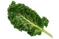 Kale