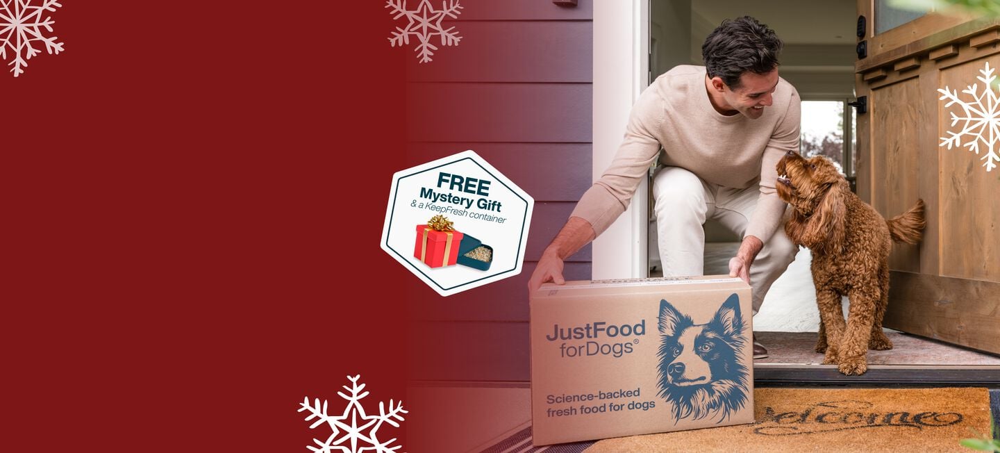 picture of a man picking up his fresh dog food delivery