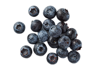 Blueberries