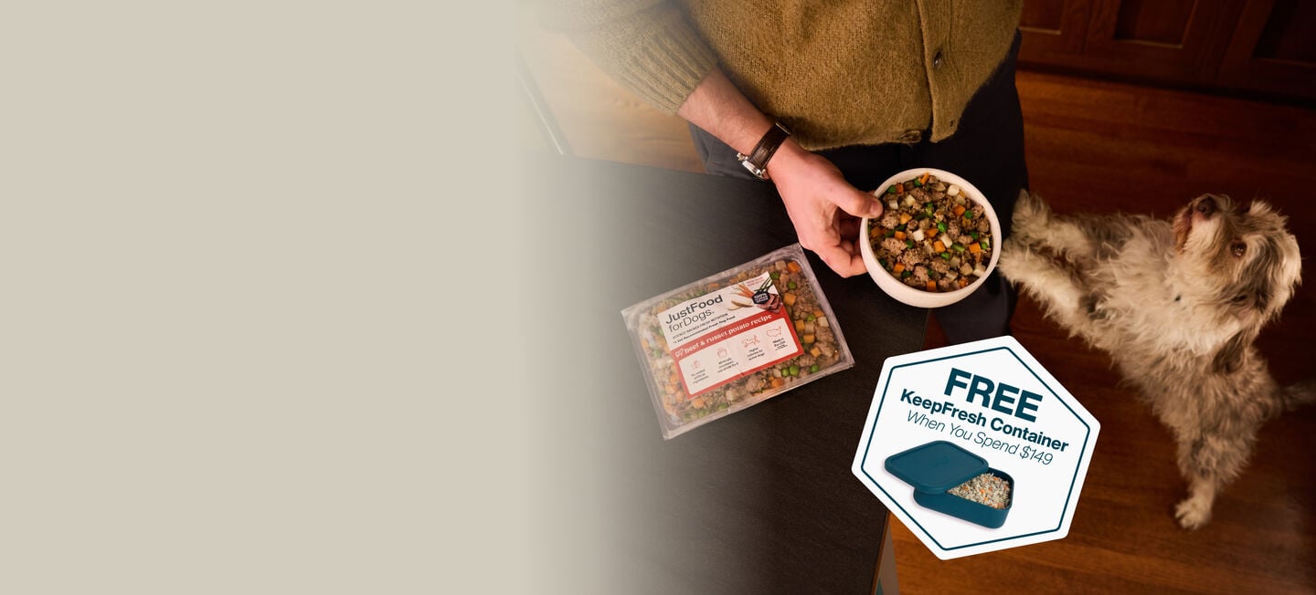 picture of a man holding a dog and bowl of food