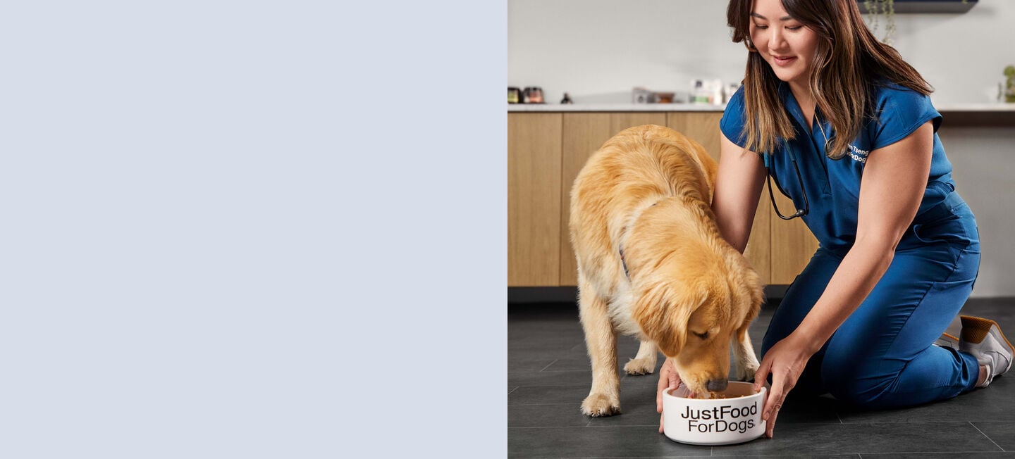 veterinary nutritionist feeding a dog fresh