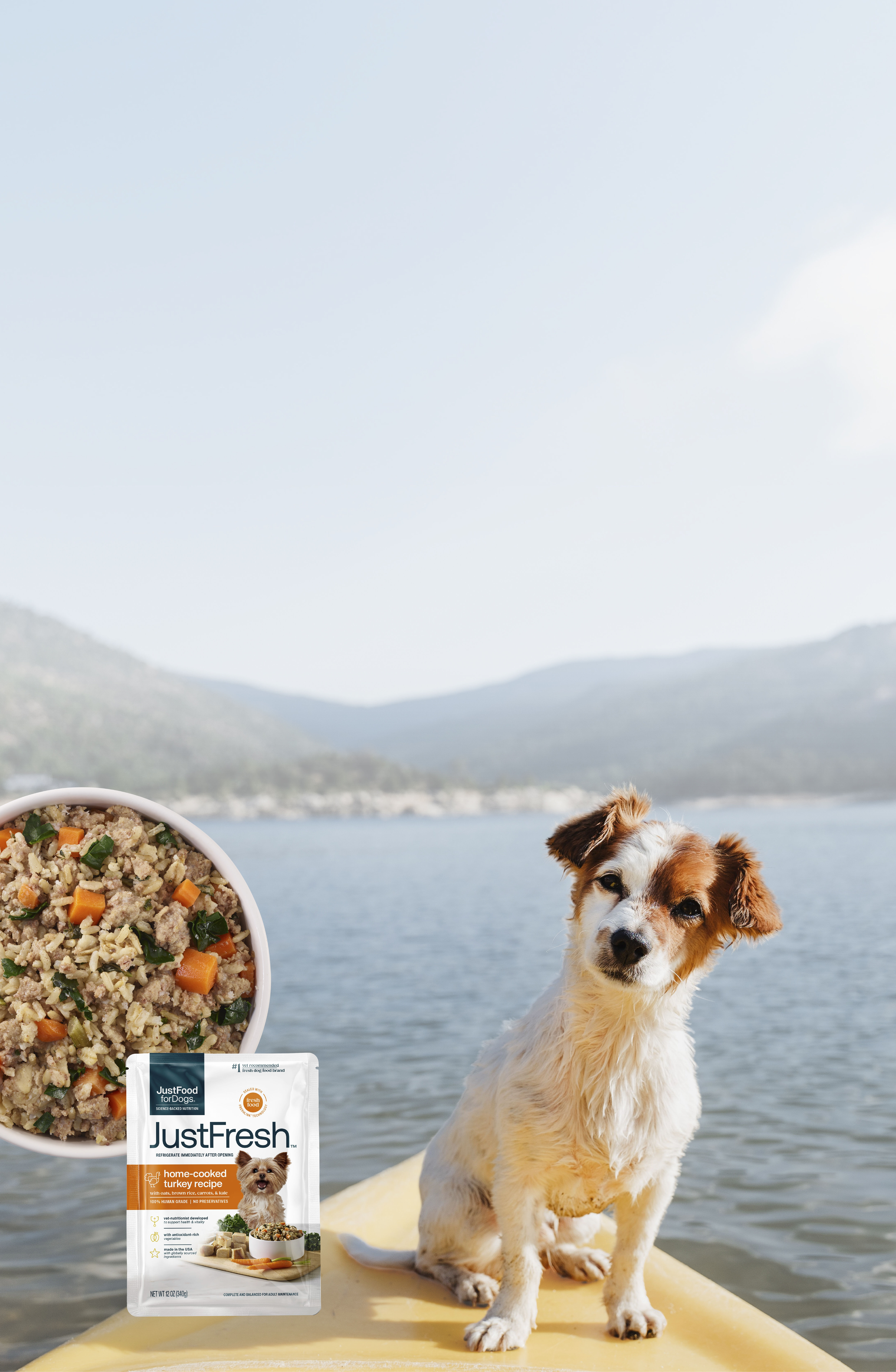 dog food home delivery