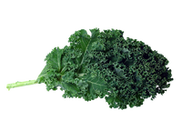 Kale