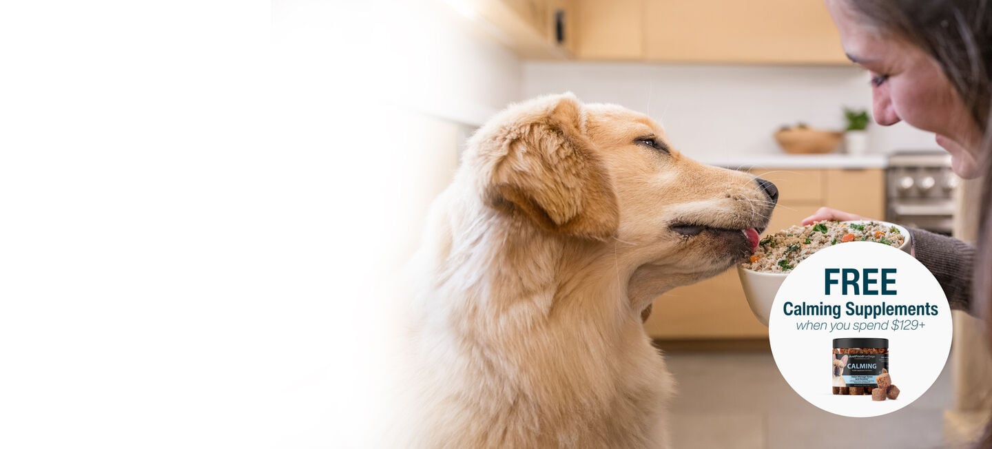 picture of a man holding a dog and bowl of food