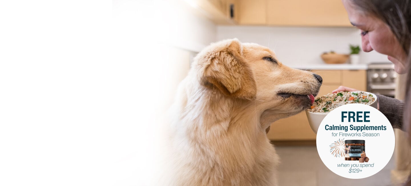 picture of a man holding a dog and bowl of food