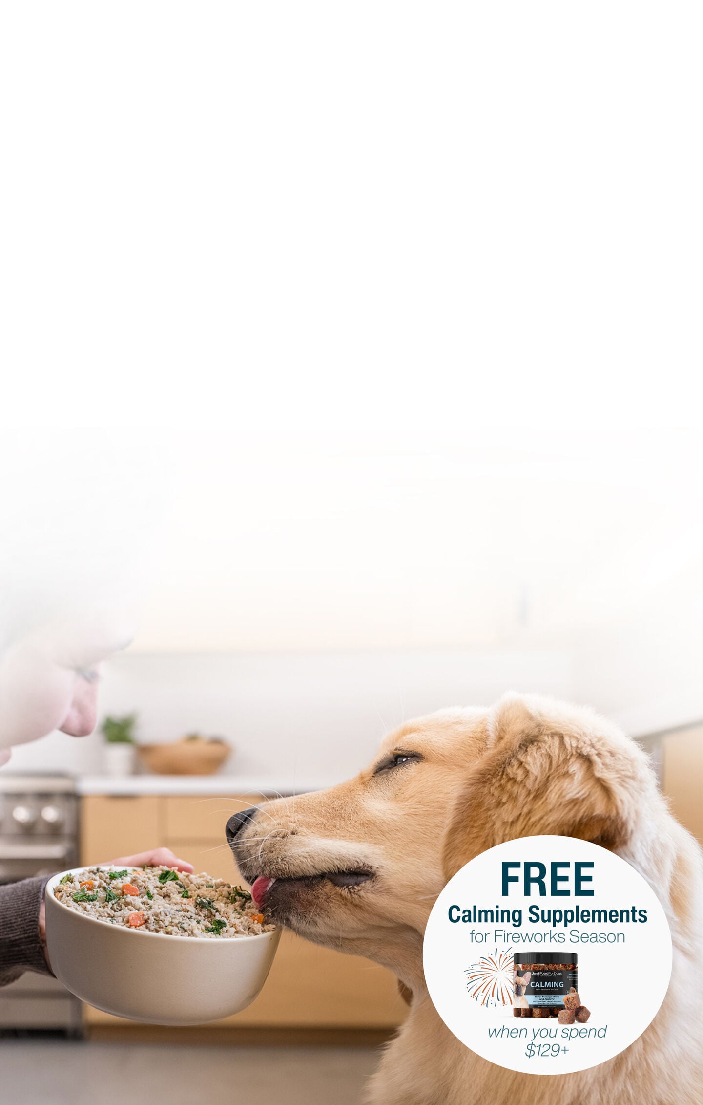 picture of a man holding a dog and bowl of food