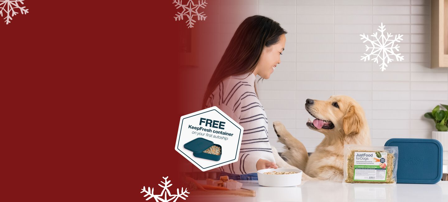 picture of a dog enjoying a bowl of fresh dog food