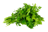 Parsley