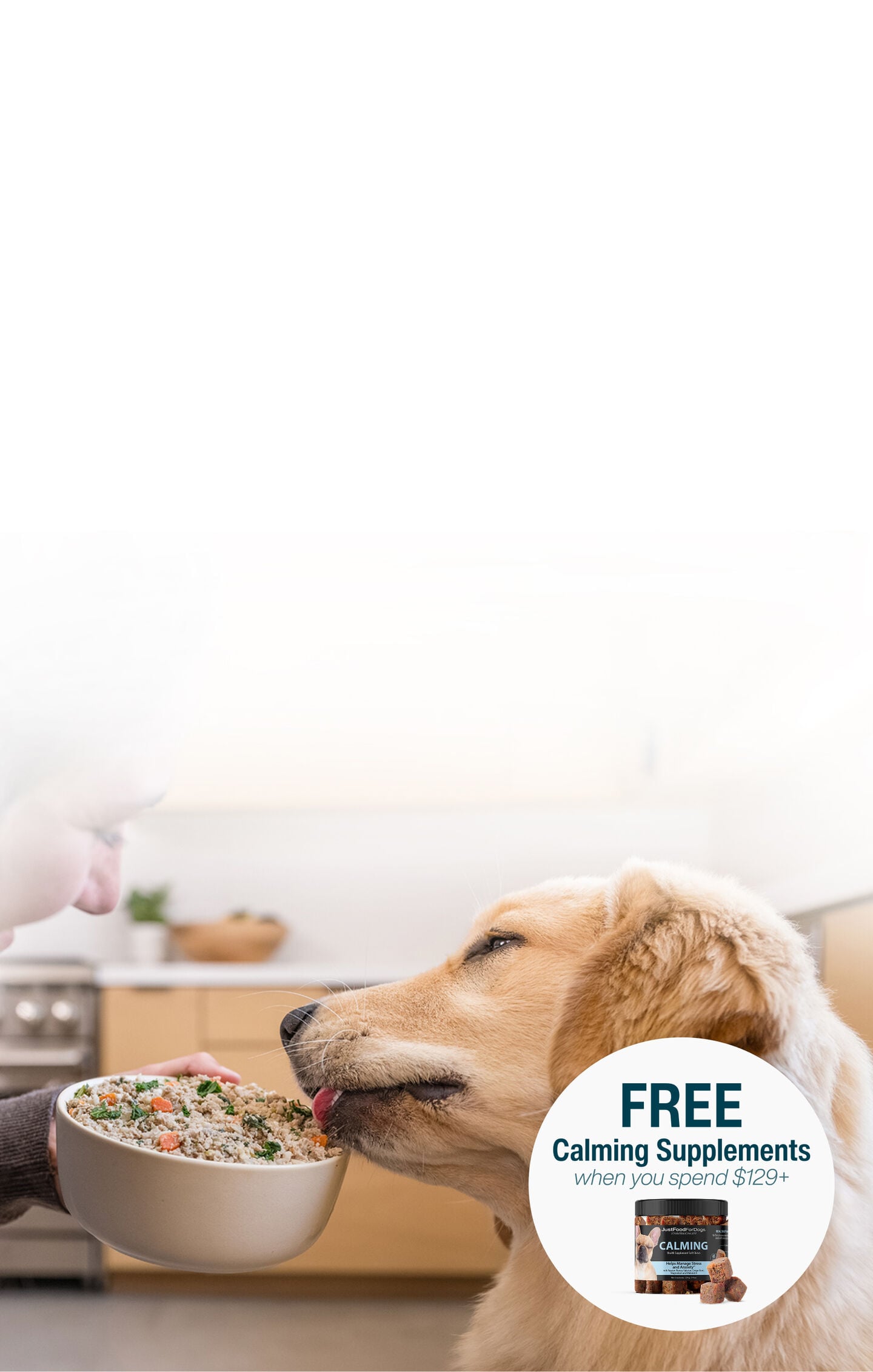 picture of a man holding a dog and bowl of food