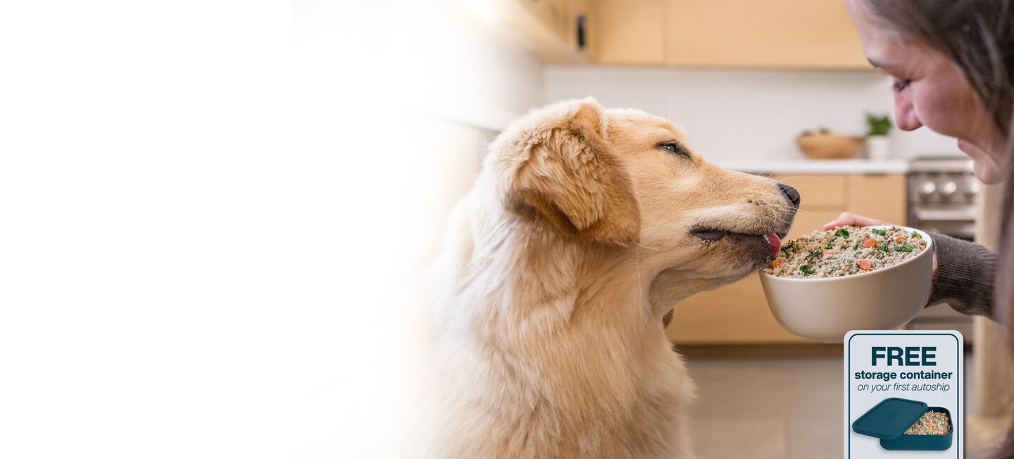 picture of a dog enjoying a bowl of fresh dog food