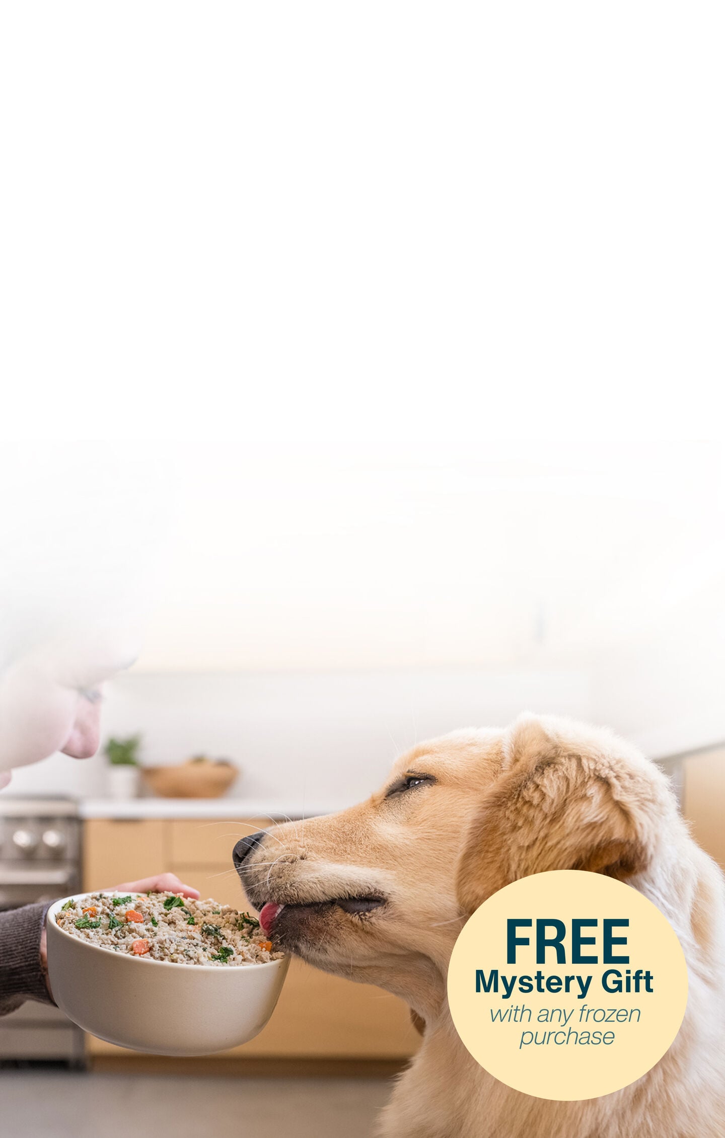 picture of a man holding a dog and bowl of food
