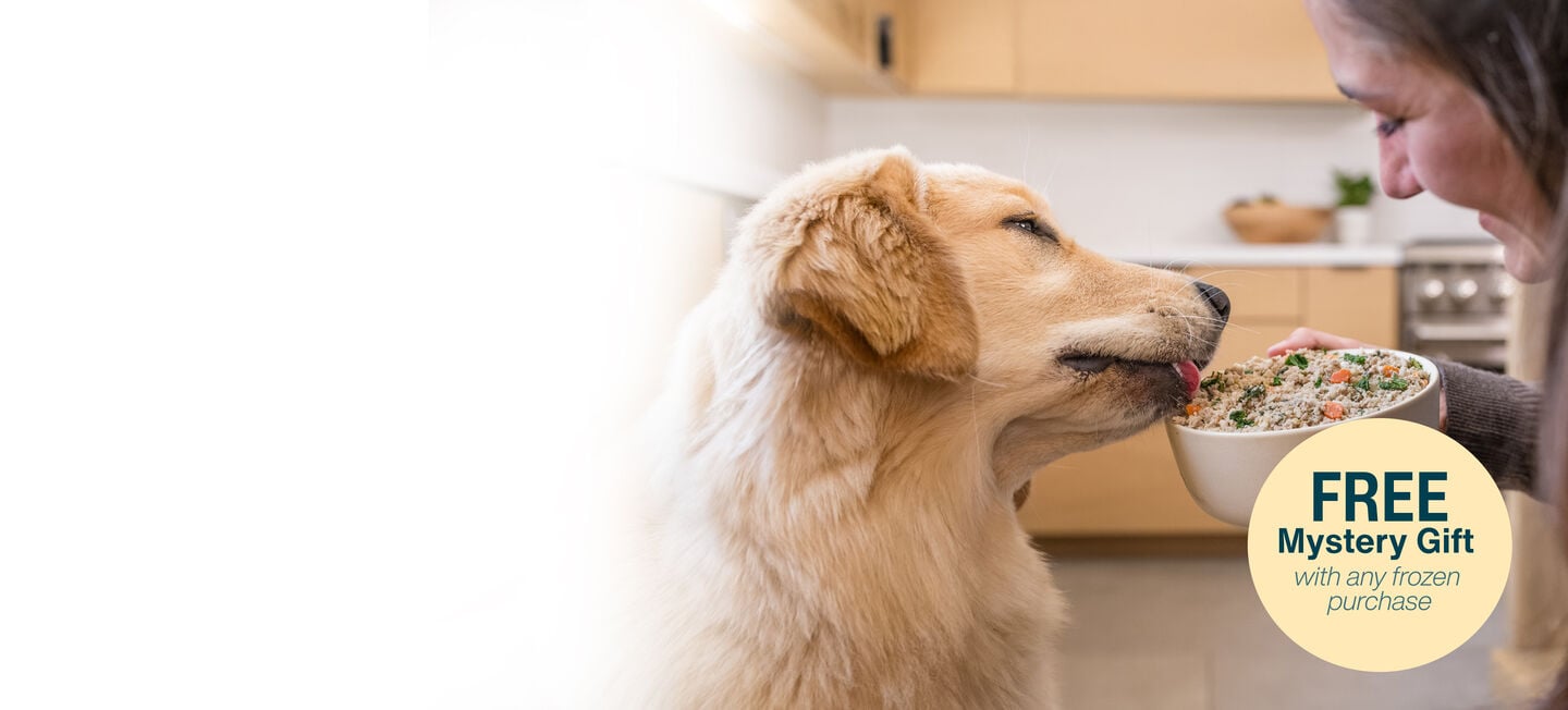 picture of a man holding a dog and bowl of food