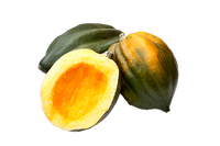 Acorn Squash