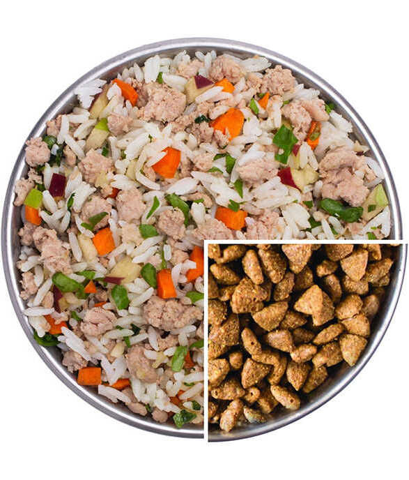 transition from kibble to fresh food