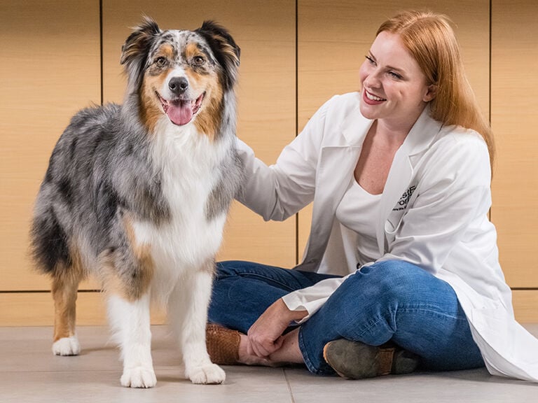 a woman giving her little dog a bowl of food in the kitchen