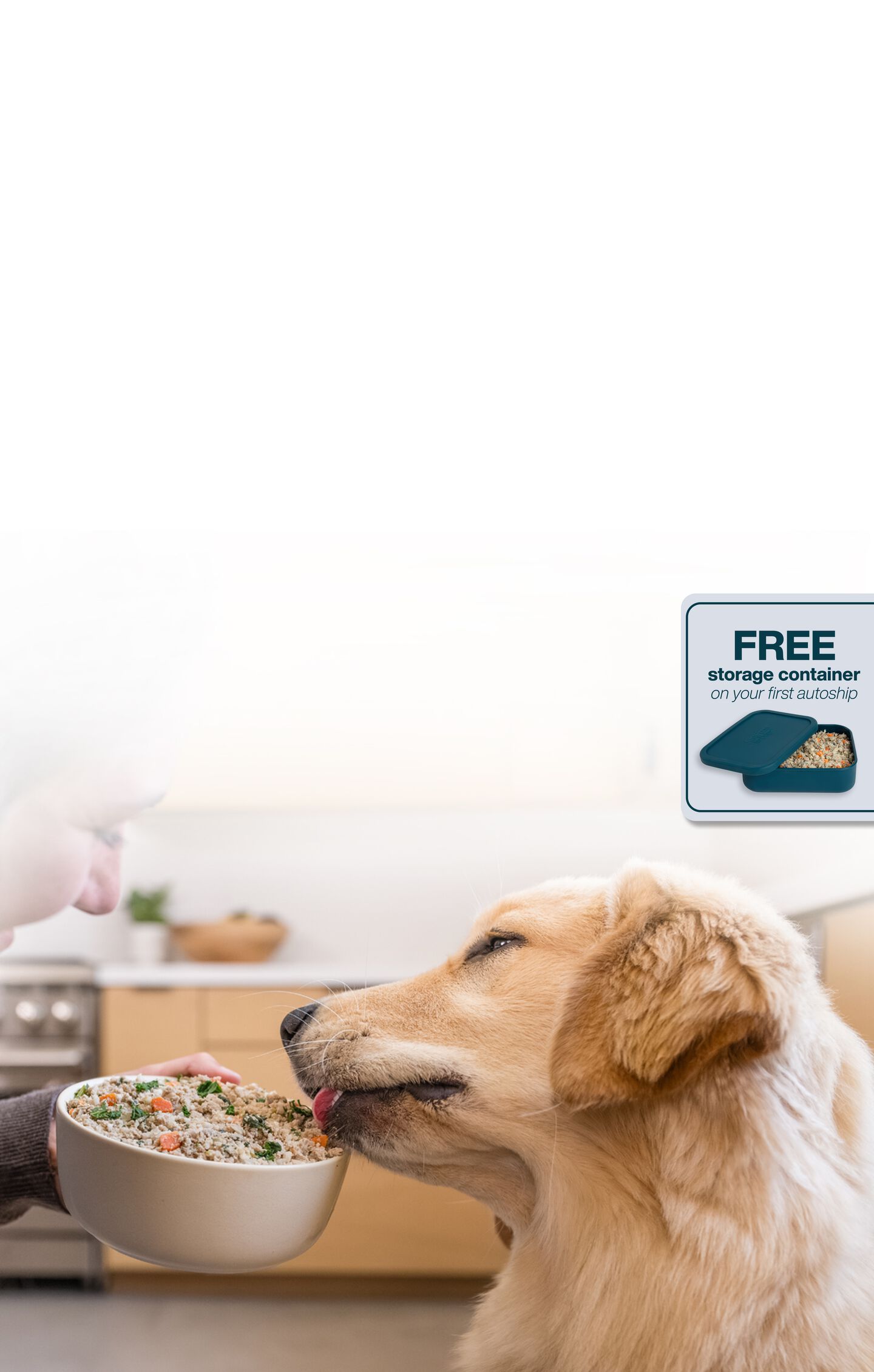 picture of a dog enjoying a bowl of fresh dog food