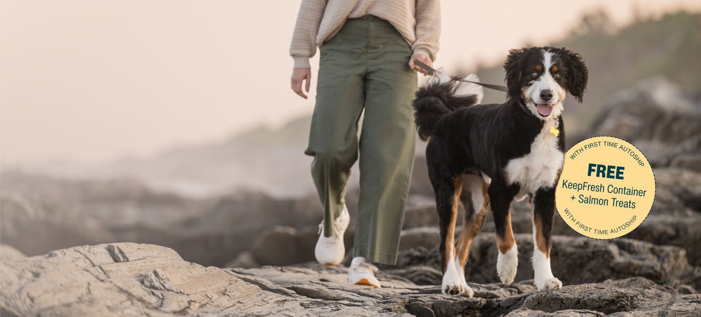picture of a man holding a dog and bowl of food