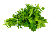 Parsley