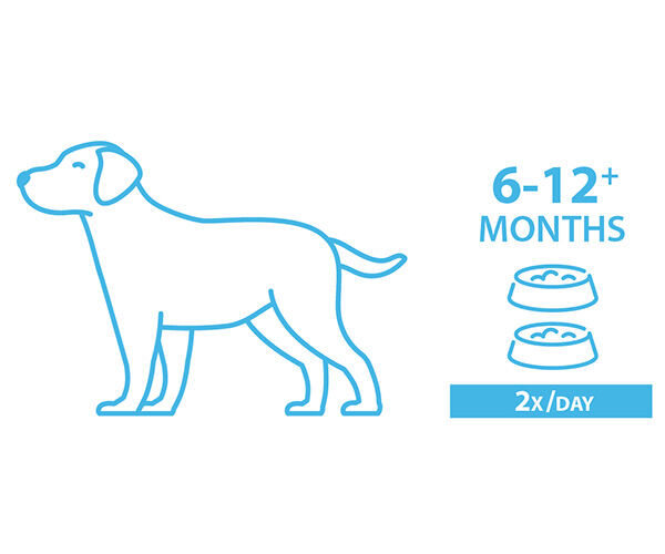 how much to feed a 5 lb puppy