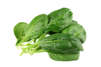 Spinach