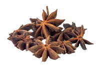 Anise Seed