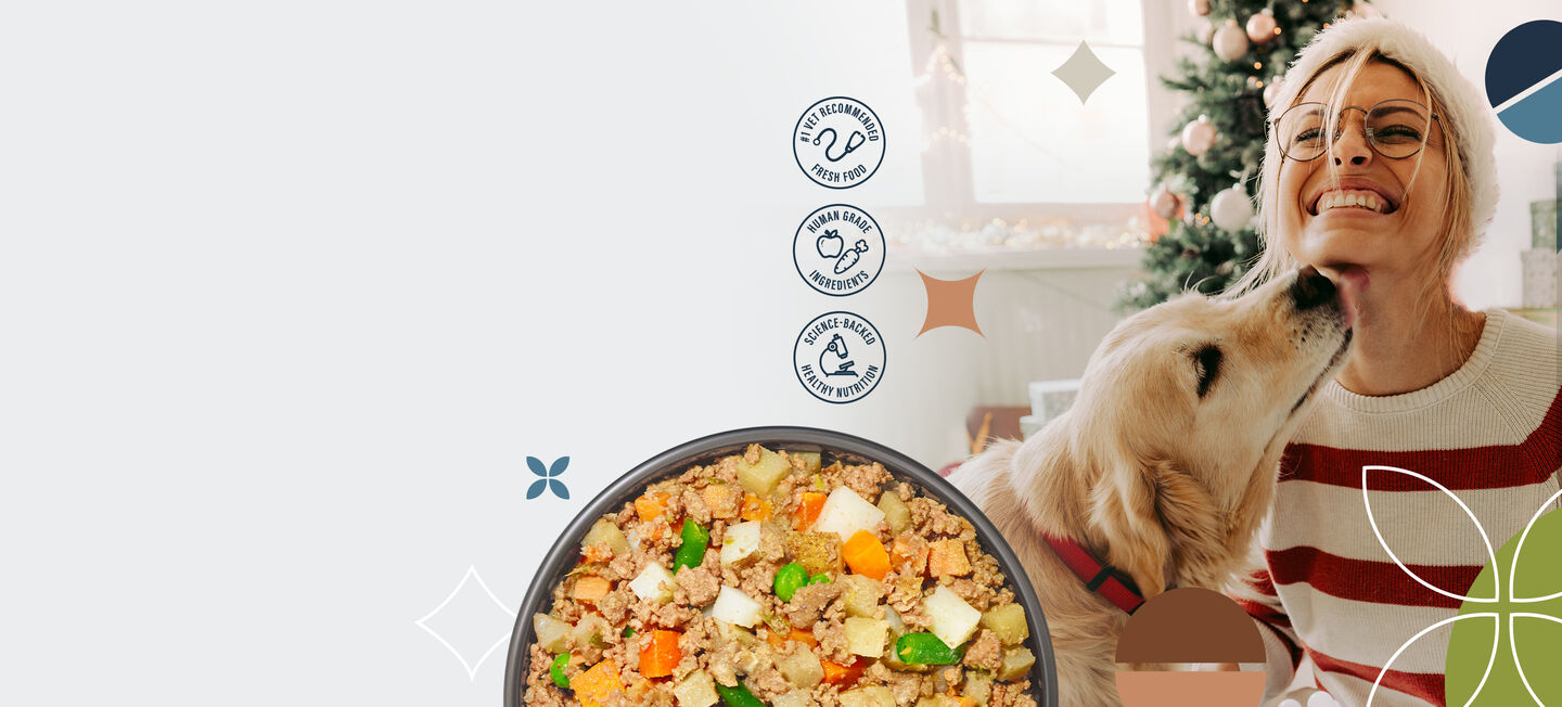 picture of a happy dog with an overlay of fresh dog food bowl