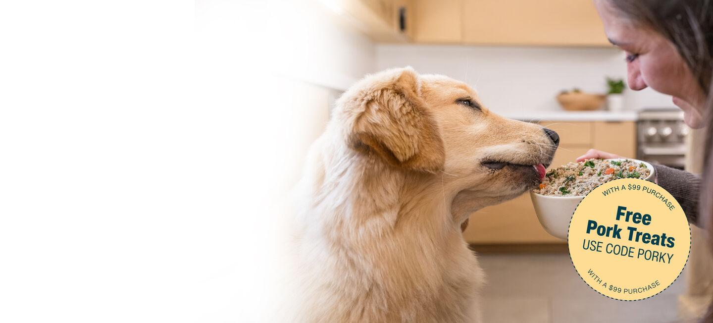 picture of a man holding a dog and bowl of food