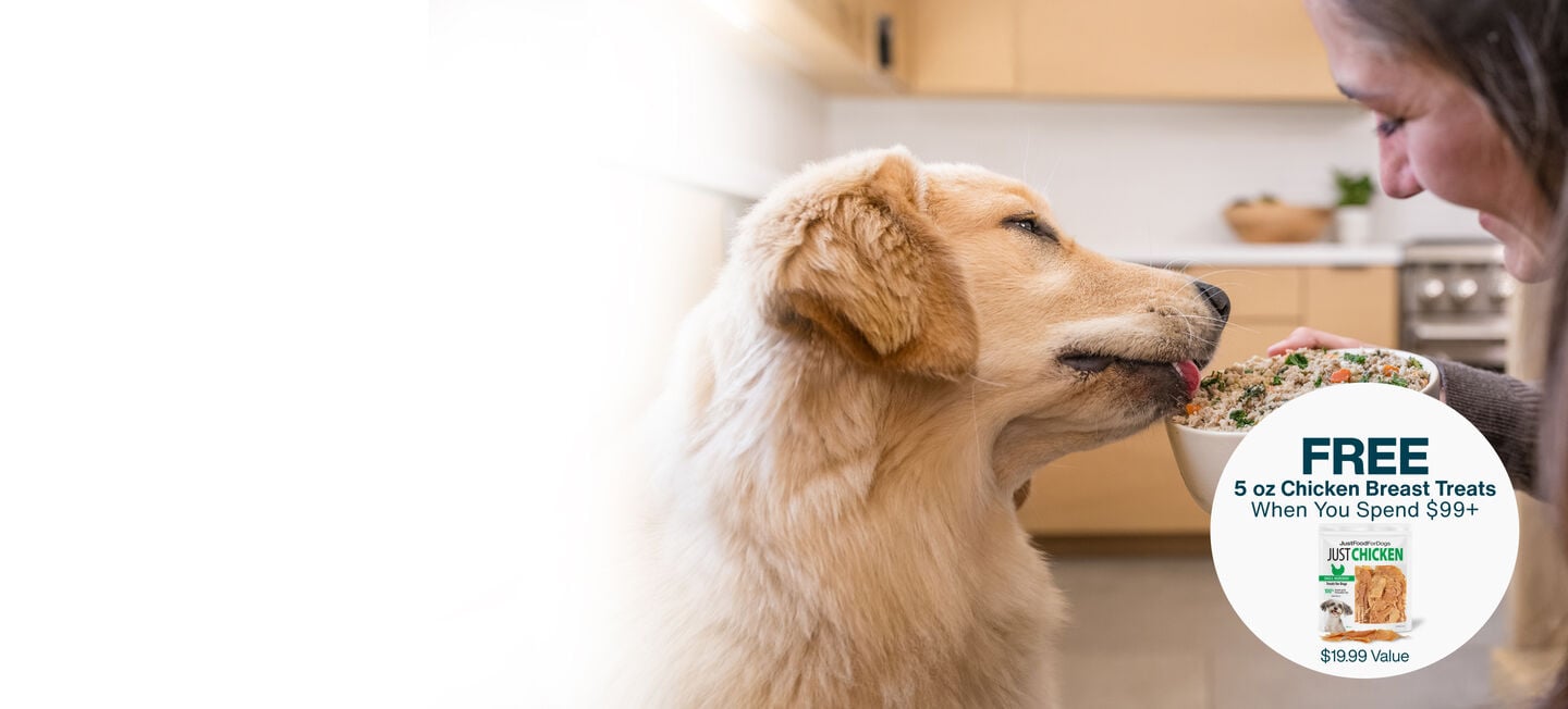 picture of a man holding a dog and bowl of food