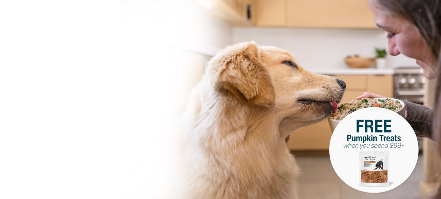 picture of a man holding a dog and bowl of food