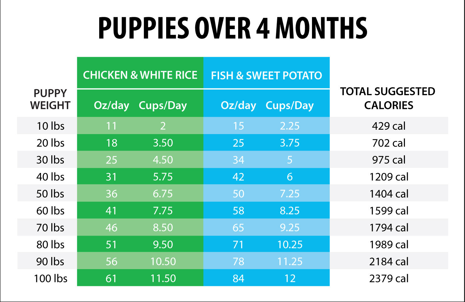 Puppy Feeding Chart Over 4 Months