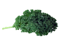 Kale