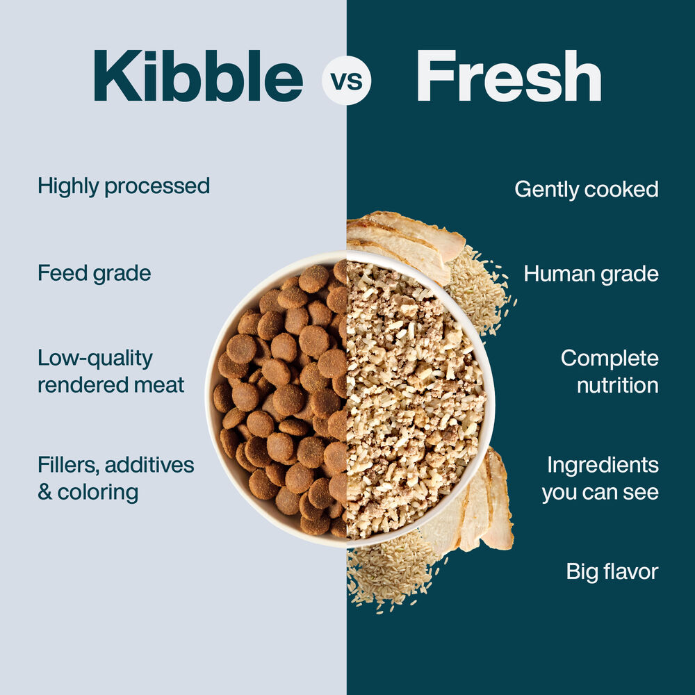 Sensitive Stomach 18 oz (7 Pack) Small Box