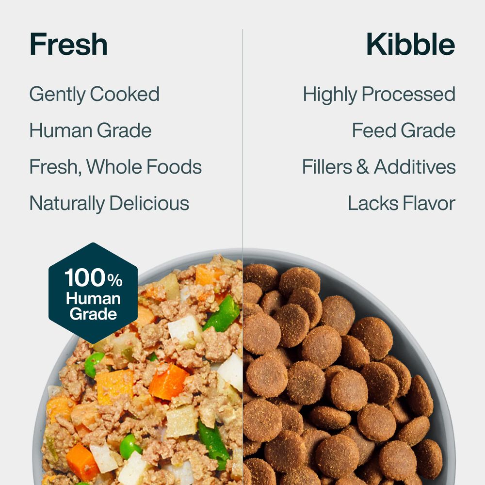 Pantry Fresh Beef Bundle