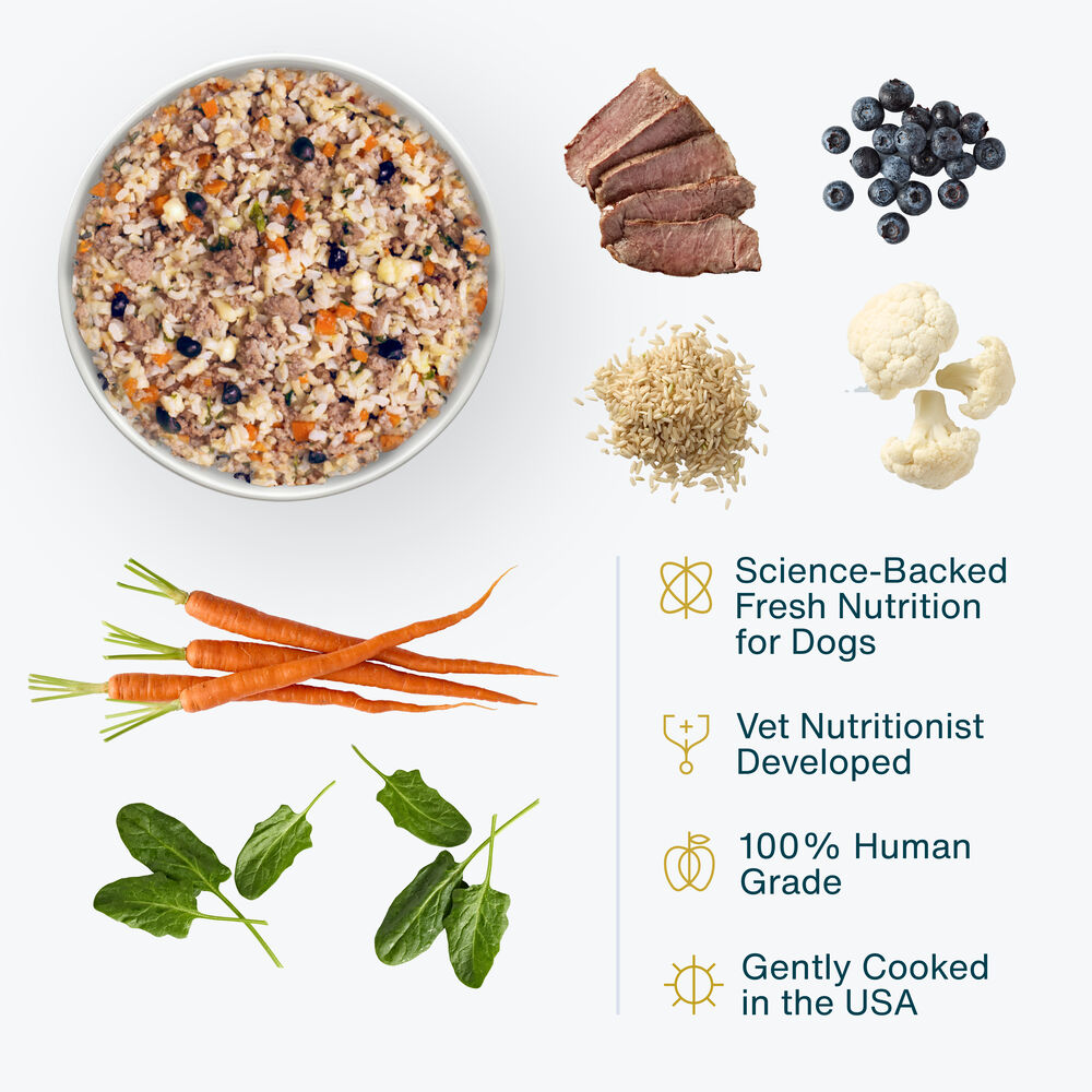 Lamb & Brown Rice Recipe 18 oz (7 Pack) Small Box