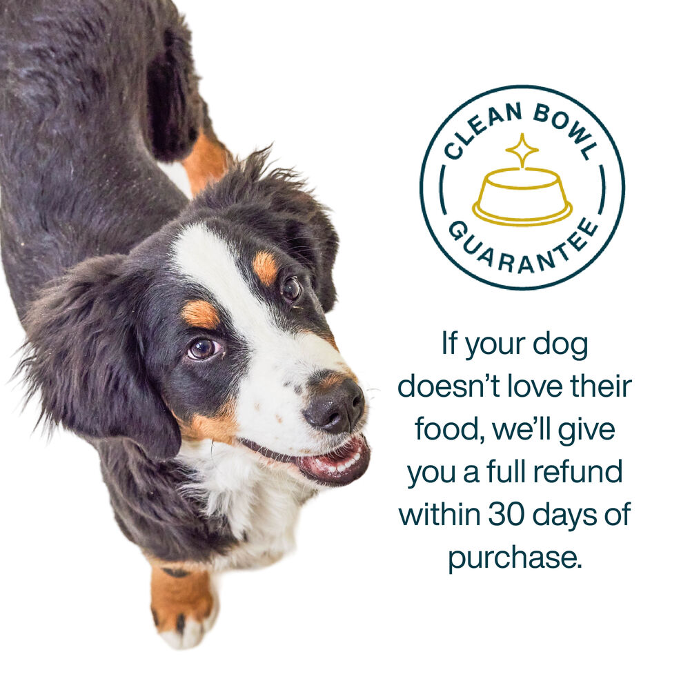 Balanced Remedy 18 oz (7 Pack) Small Box