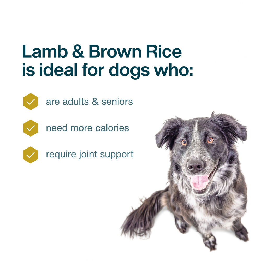 Lamb & Brown Rice Recipe 18 oz (7 Pack) Small Box