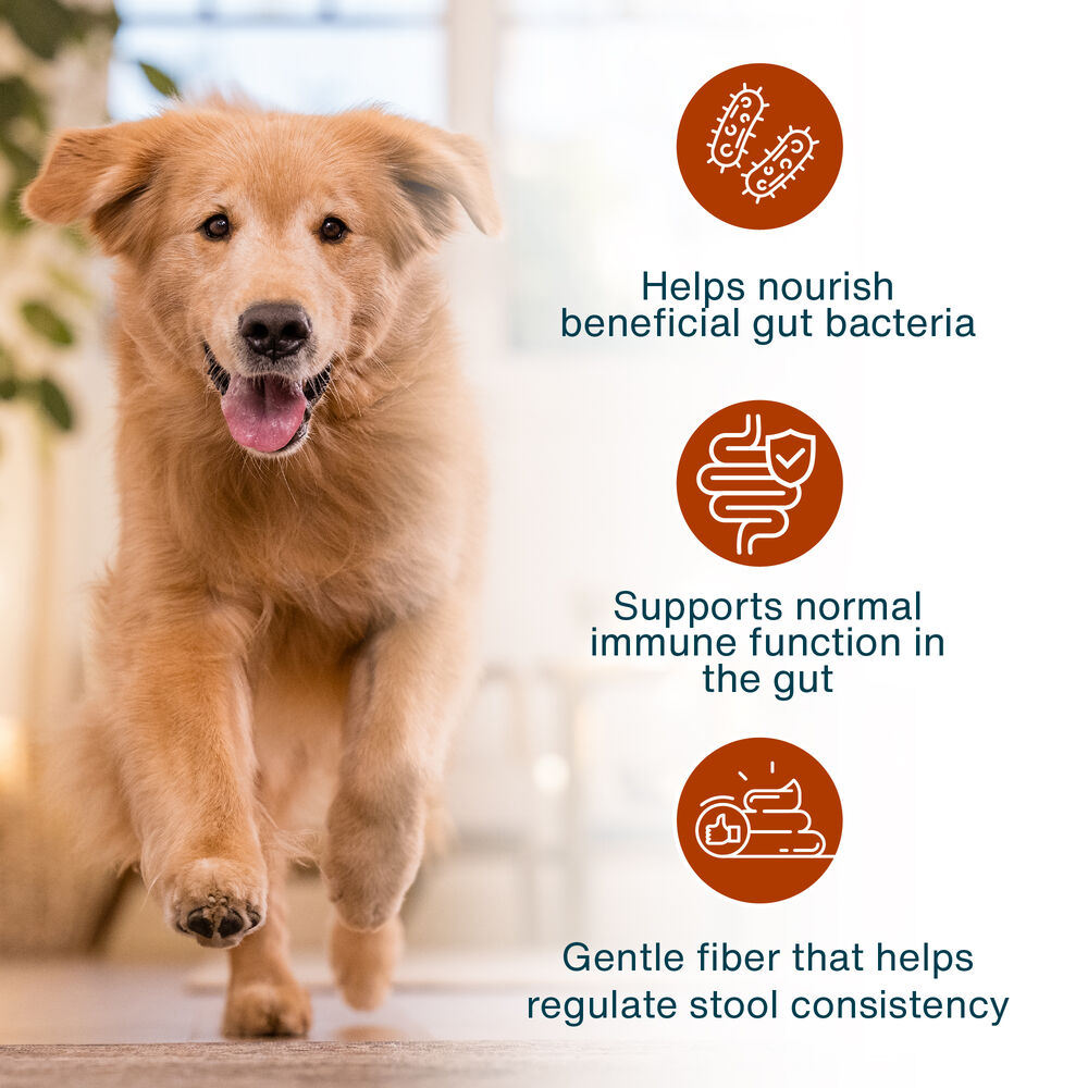 JustFresh Boost Meal Topper for Sensitive Stomachs (8 oz 8-Pack)