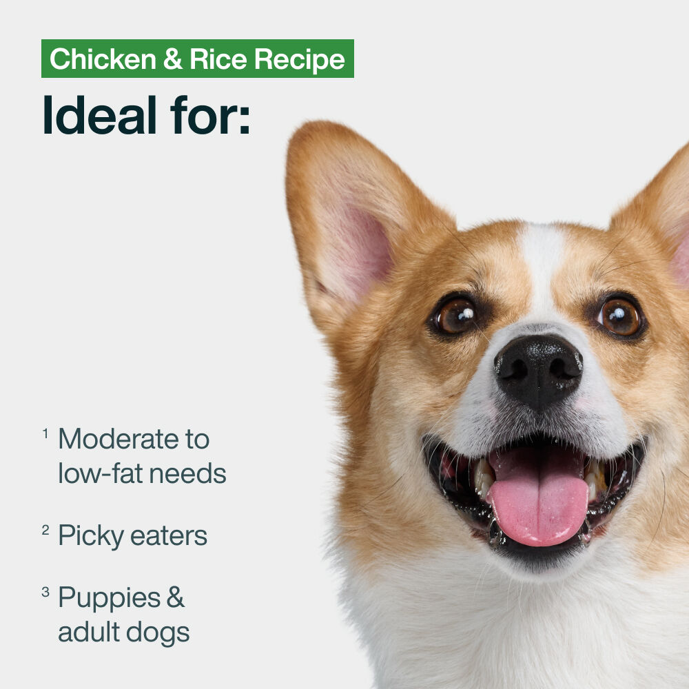 Pantry Fresh - Chicken & Rice 12.5 oz Case (12 Pack)