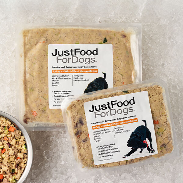 Is It Ok To Feed Dogs Turkey