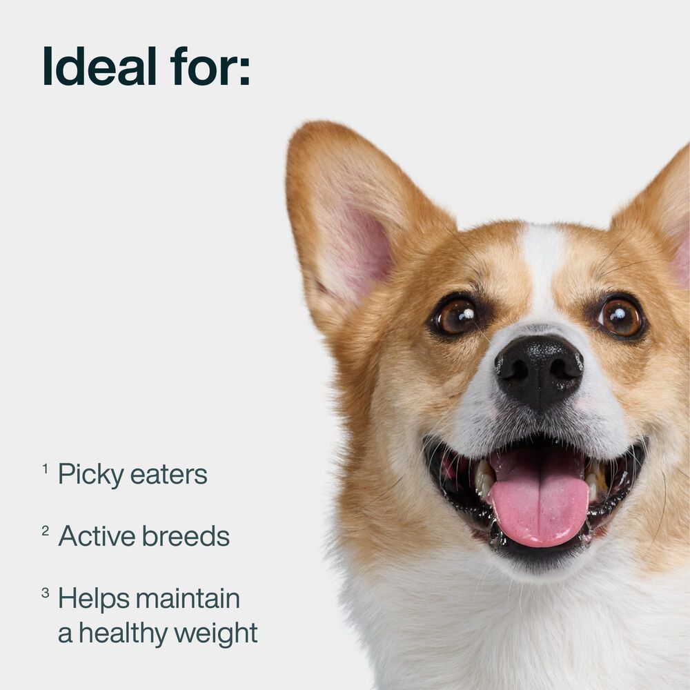 JustFresh Home-Cooked Variety Pack - Beef & Chicken (14 Pack)