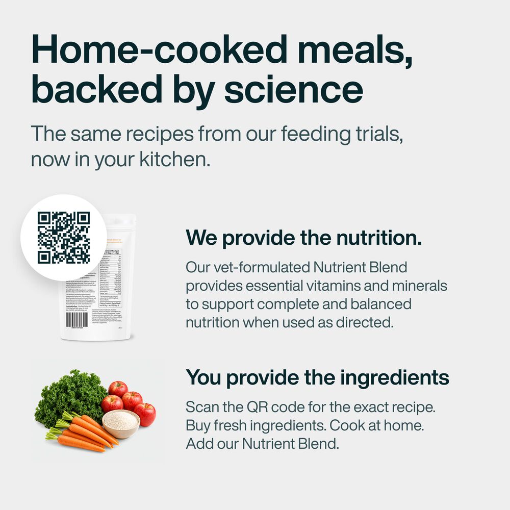 DIY Nutrient Blend for Turkey + Omega Algae Oil Bundle