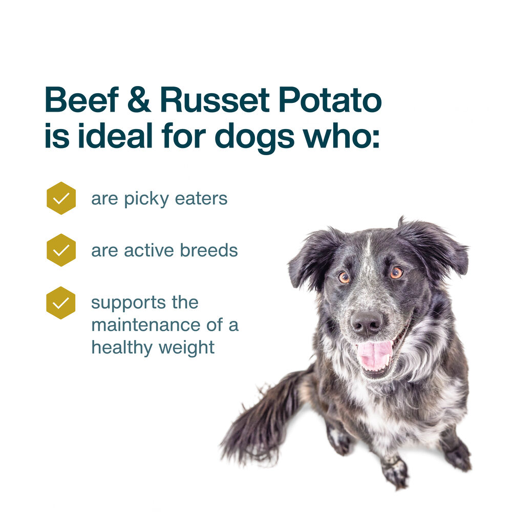 Beef & Russet Potato 18 oz (7 Pack) Small Box