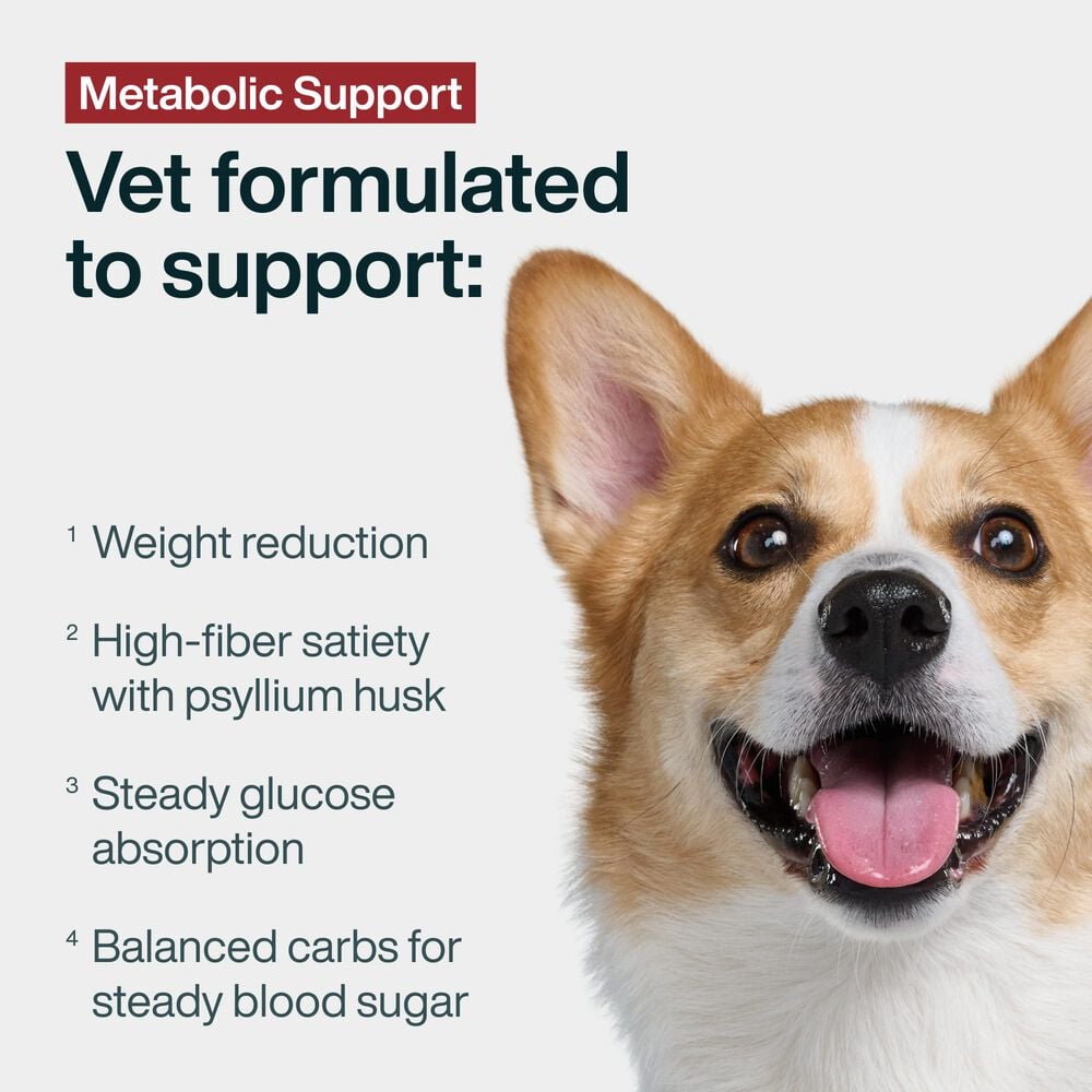 Metabolic Support 18 oz (7 Pack) Small Box