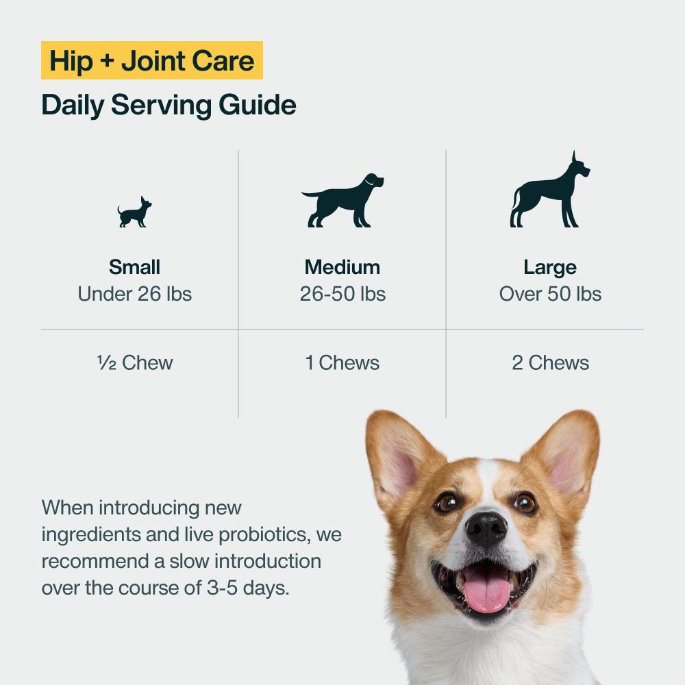 Hip + Joint Care (45 Chews)
